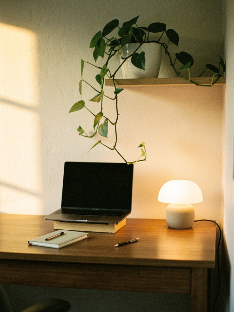 A warm wooden study desk with a laptop on a stand, glowing desk lamp and trailing plant